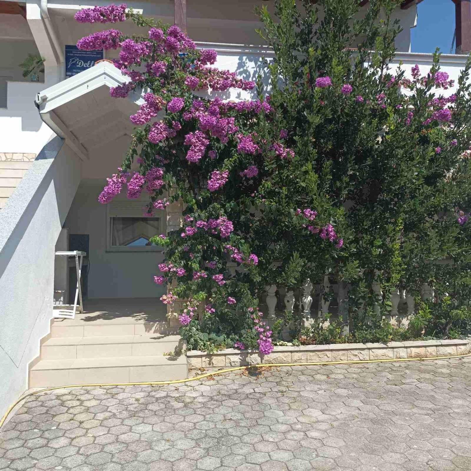 Apartments Vir Delfin Екстериор снимка